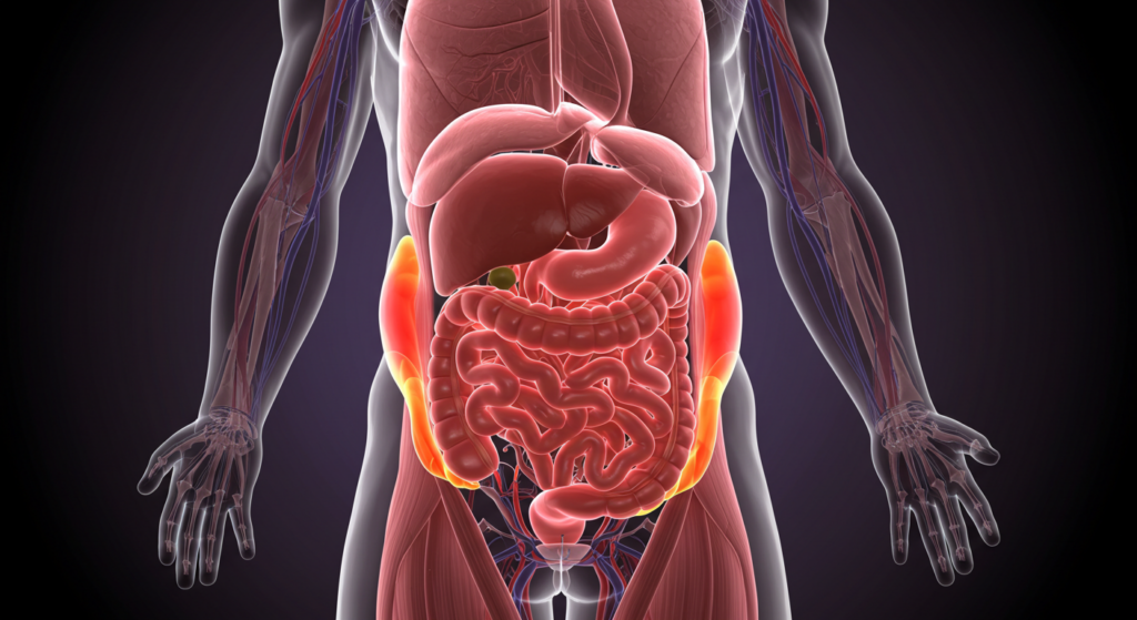 UNDERSTANDING BODY FAT: THE ESSENTIAL GUIDE TO HEALTHY LEVELS AND MEASUREMENTS